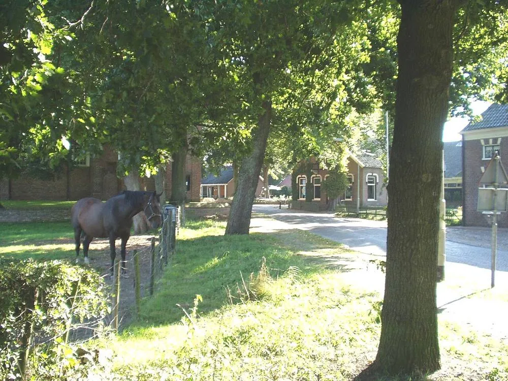 Noordlaren: Noordlaren RA