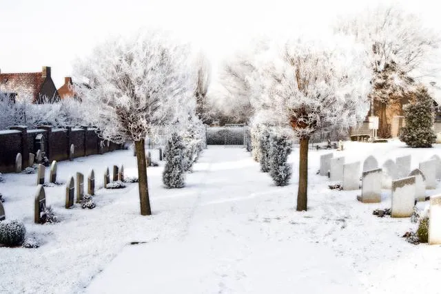 Einighausen: Sneeuw-einighausen